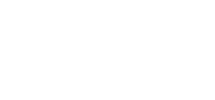 Car Mechanic